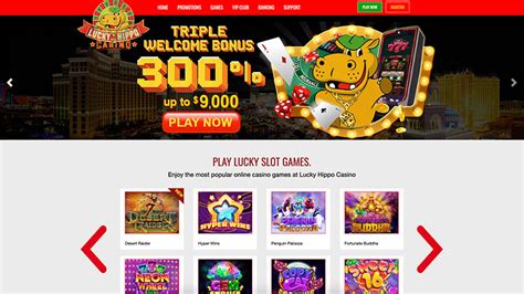 PlayHippo Casino (2024) .